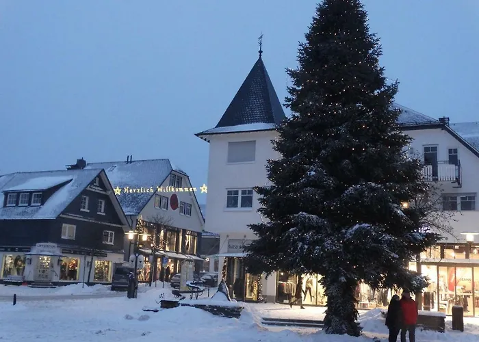 Winterbergappartementen 27-10 Apartment *